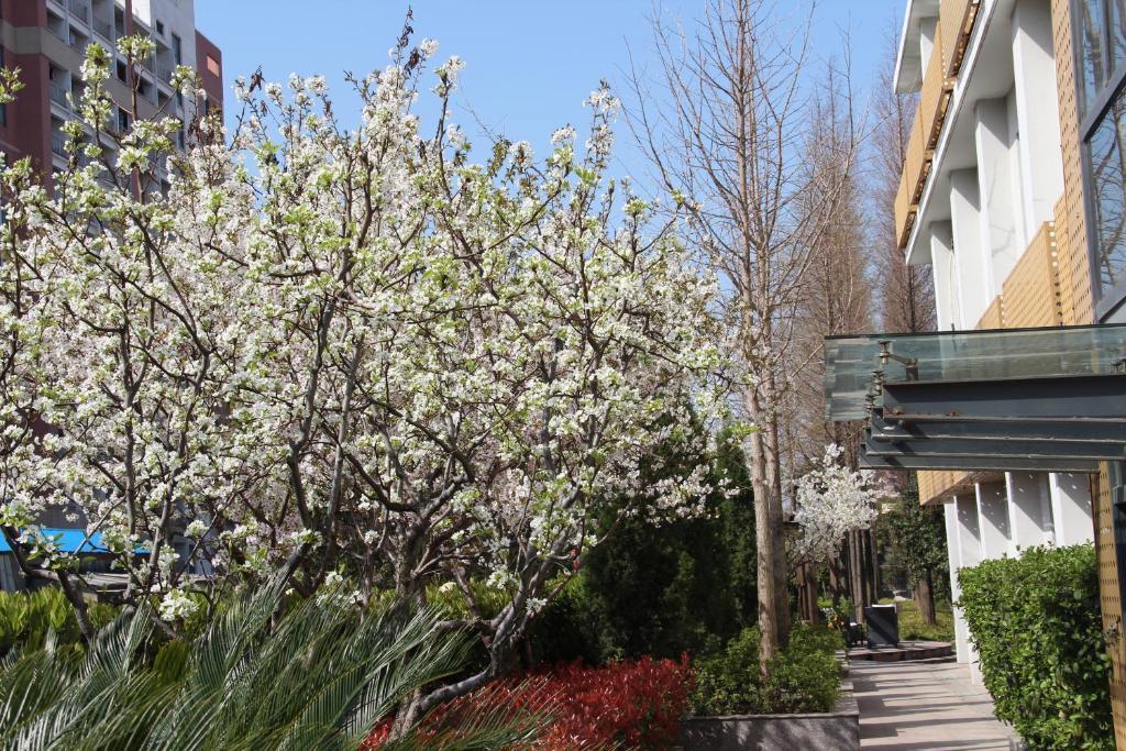 L'Otel Σανγκάη Εξωτερικό φωτογραφία